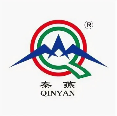 Qinyan логотип